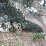 Stazzo Fossuli *