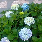 Stazzo Fossuli Apartamento