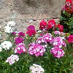 Apartamento Stazzo Fossuli
