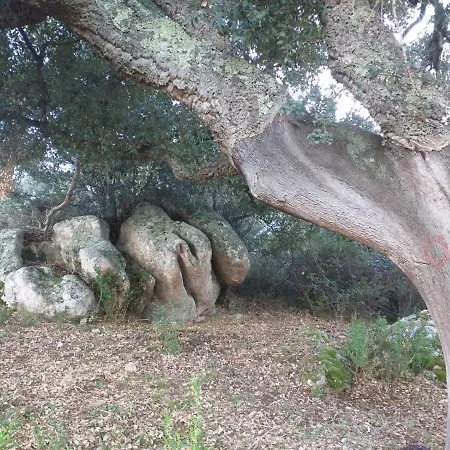 Stazzo Fossuli *