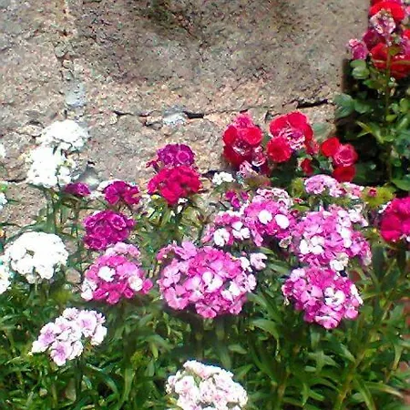 Apartmán Stazzo Fossuli