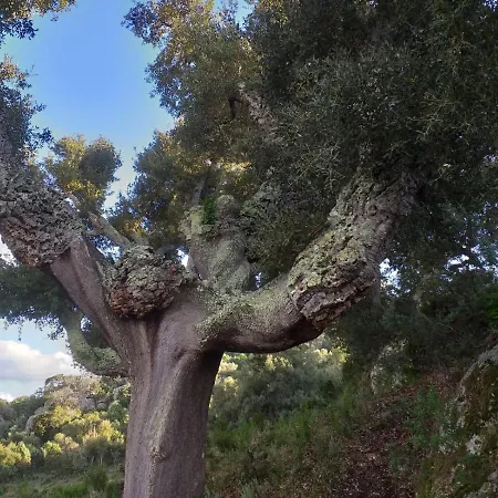Stazzo Fossuli * Sant'Antonio di Gallura