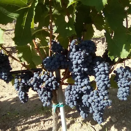 Appartamento Stazzo Fossuli